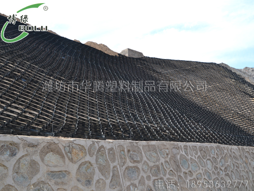 城市巖質(zhì)邊坡土工格室生態(tài)防護技術(shù)及其應用